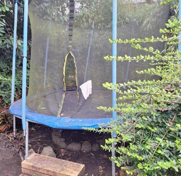 Bed and Breakfast B En B Op Steendam, Tuinkamer Onder De Appelboom