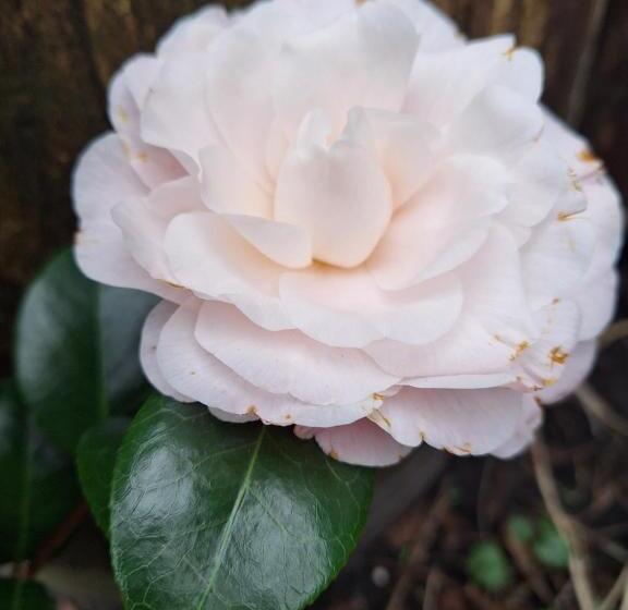 Bed and Breakfast B En B Op Steendam, Tuinkamer Onder De Appelboom