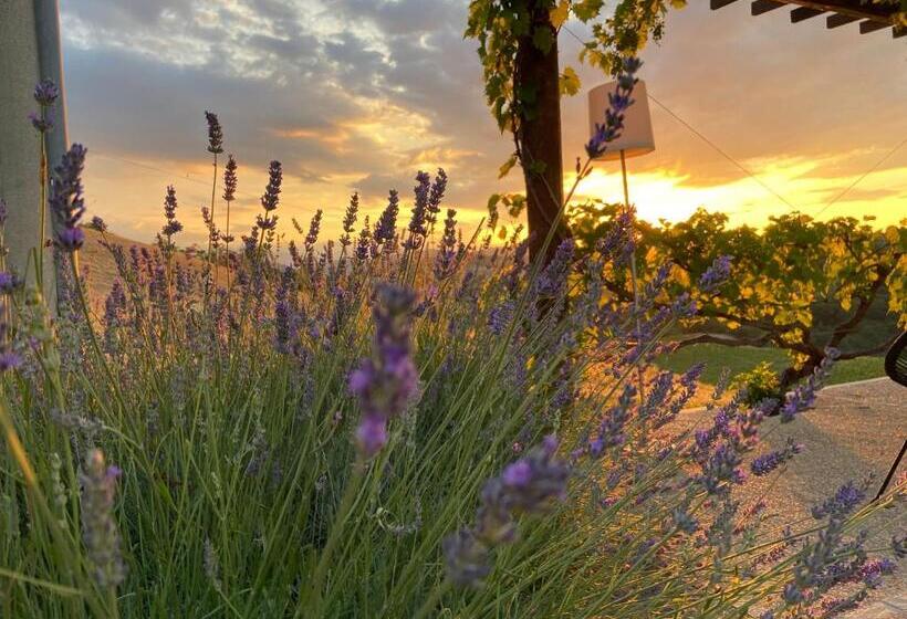 مبيت وإفطار Bed And Adventure Tramontana Resort   Camera Vista