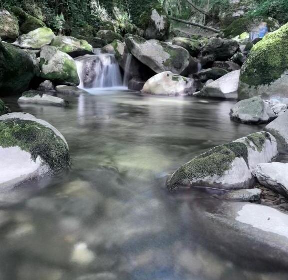 ベッドアンドブレックファースト Chambre Au Calme