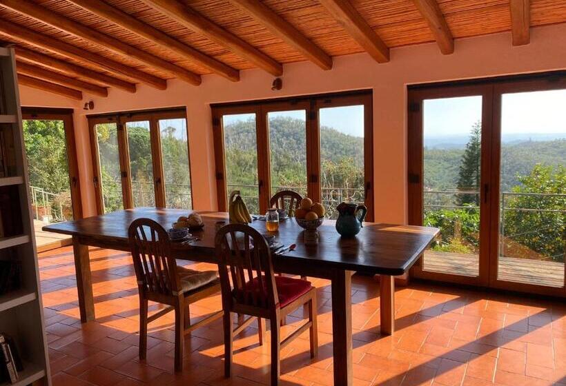 مبيت وإفطار Corgos Flores