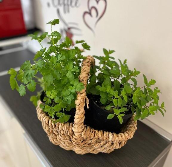 住宿加早餐  L Alba Sullo Jonio