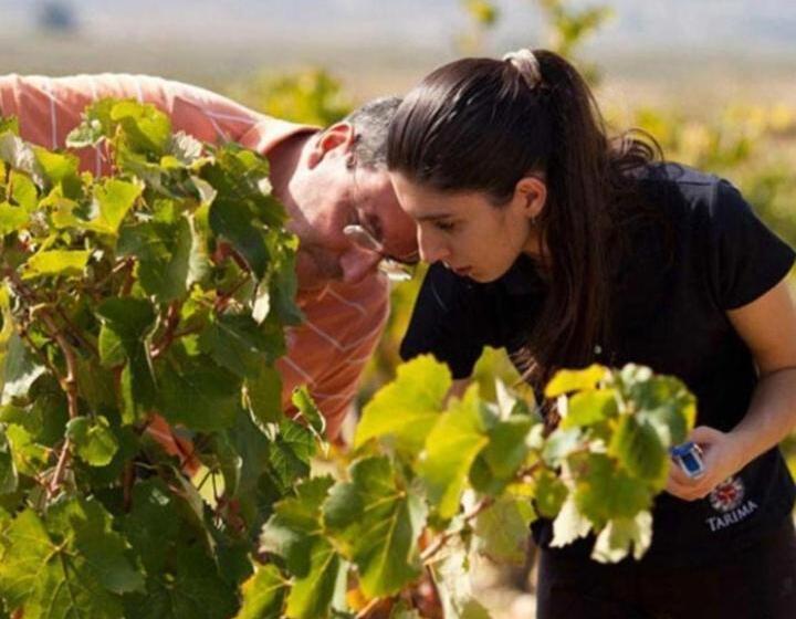 تختخواب و صبحانه Establecimiento La Soleada Suites De Campo