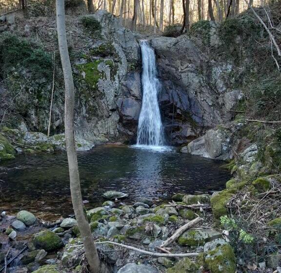住宿加早餐 Les Terrasses De Collanges