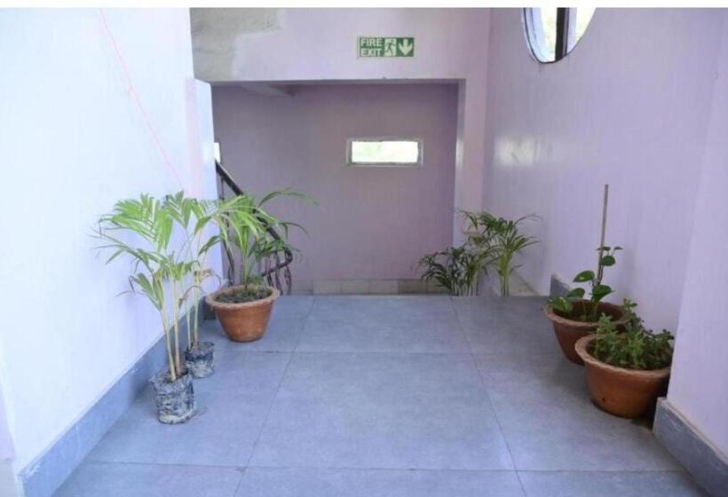 تختخواب و صبحانه Quarto Inn