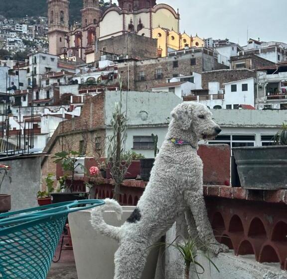 צימר Starlight Oasis