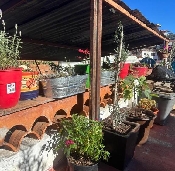 צימר Starlight Oasis