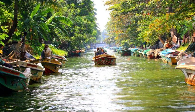 ベッドアンドブレックファースト Marigold Apart Hotel Negombo