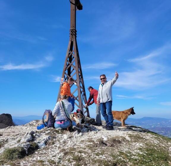 Отель Agriturismo Merlino