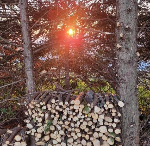 Отель Agriturismo Merlino