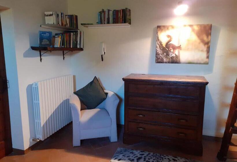 Отель Agriturismo Merlino