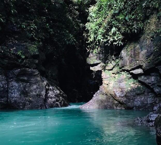 호텔 Bruselas Mutata