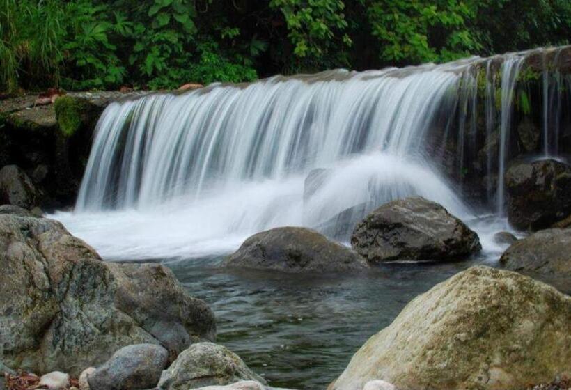 호텔 Bruselas Mutata