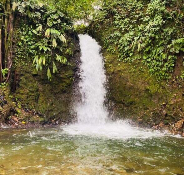 호텔 Bruselas Mutata