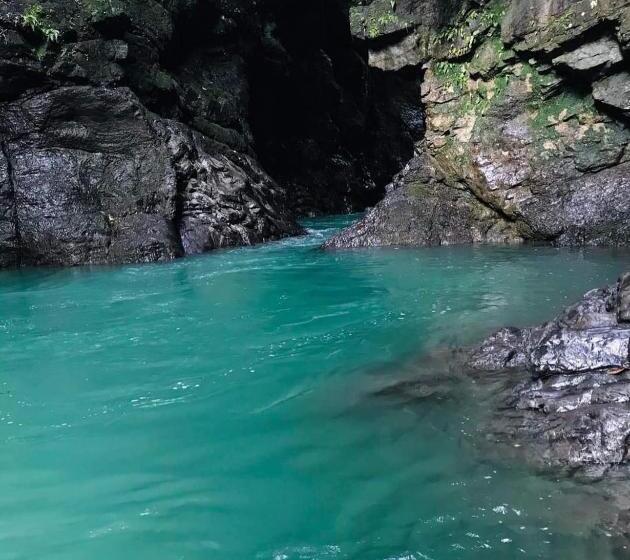 호텔 Bruselas Mutata