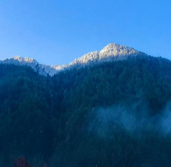 هتل Buddha House 2