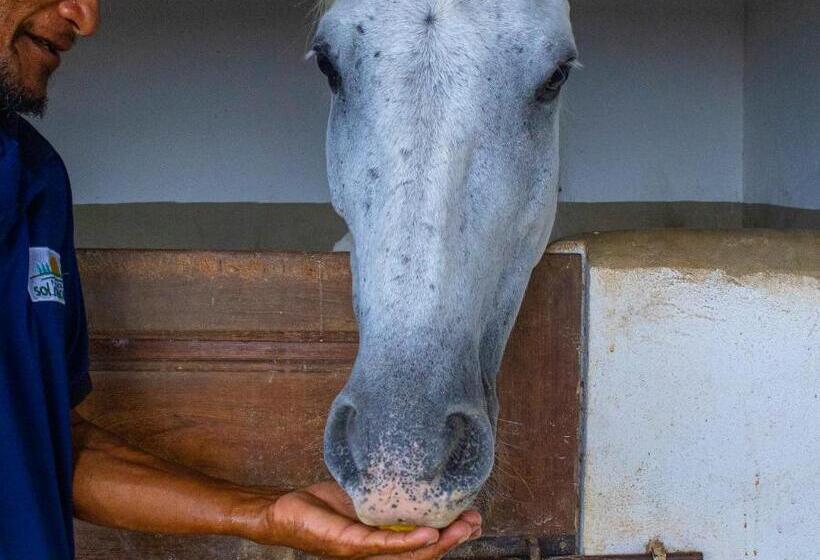 酒店 Fazenda Sol Nascente