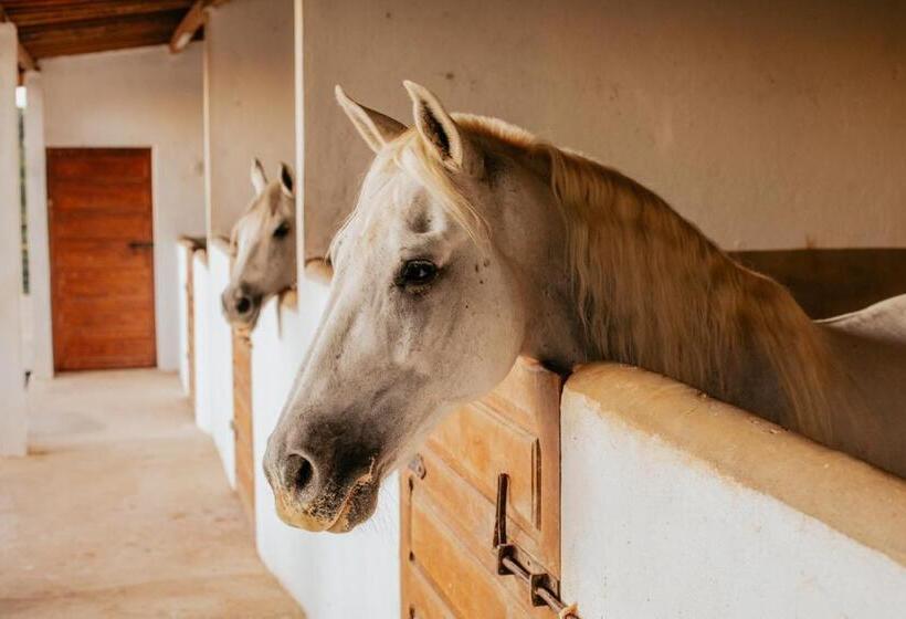 酒店 Fazenda Sol Nascente