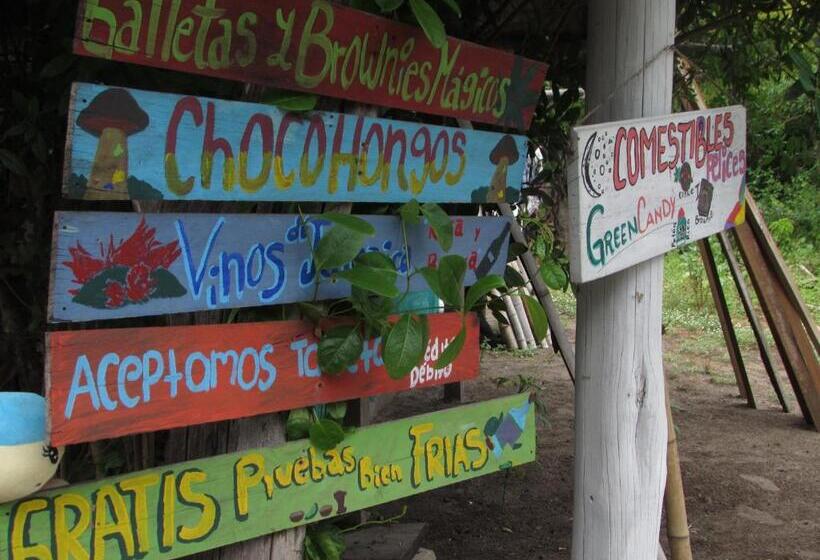 فندق Hab #1 La Casa Del Profe Salo