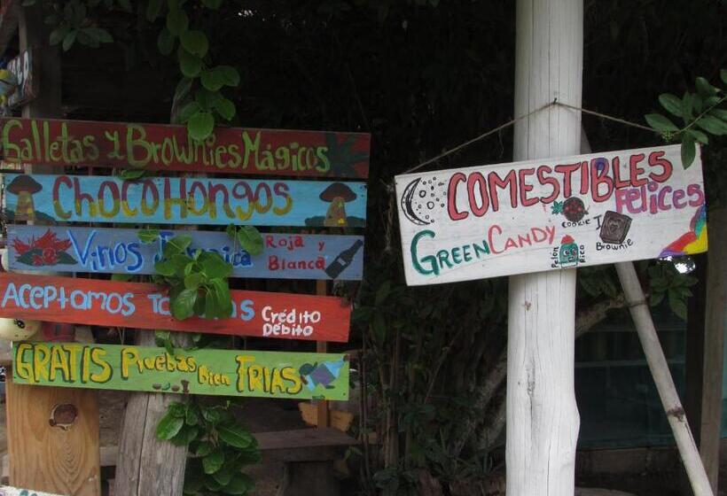 فندق Hab #2 La Casa Del Profe Salo