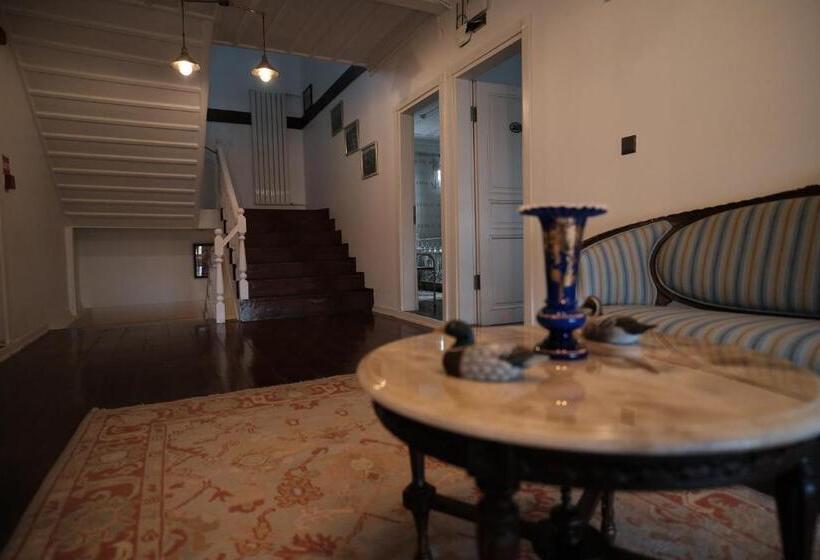 בית מלון כפרי Meci̇t Kaptan Konaği