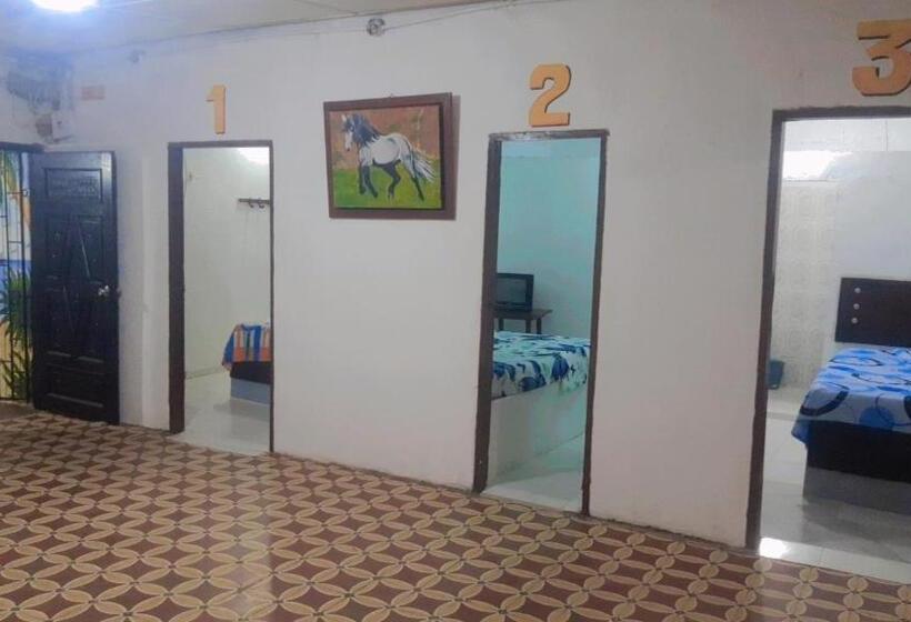 בית מלון כפרי Nuevo Hollywood