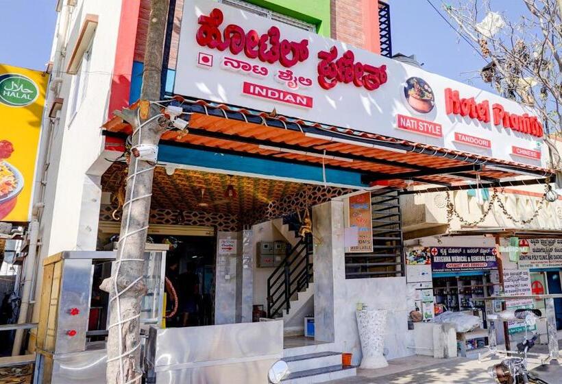 Hotel Oyo Pranith Skys