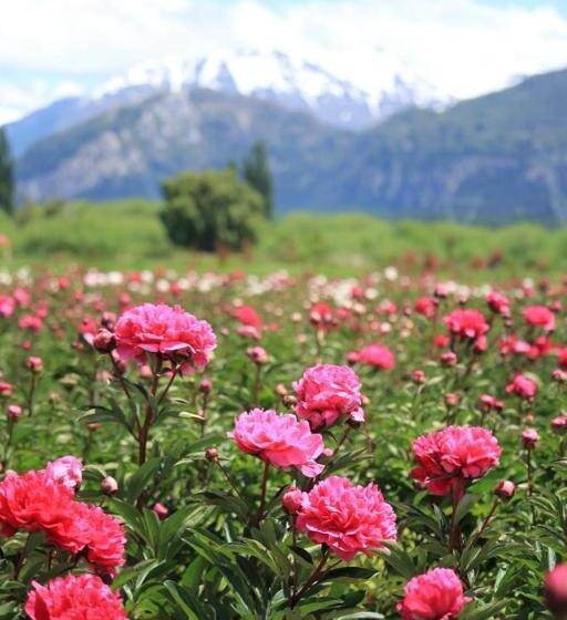 酒店 Sur Sur Patagónico