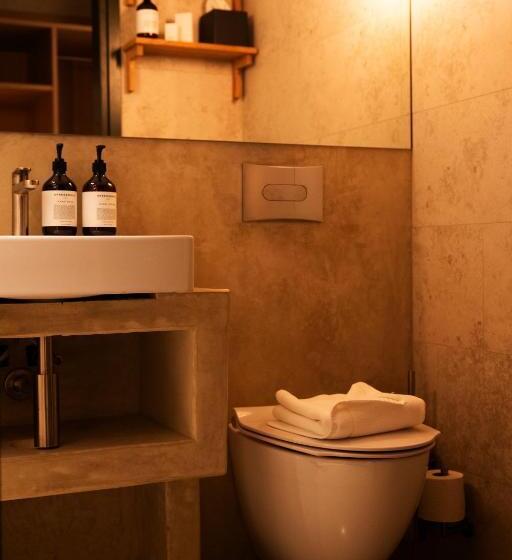 בית מלון כפרי Vyn