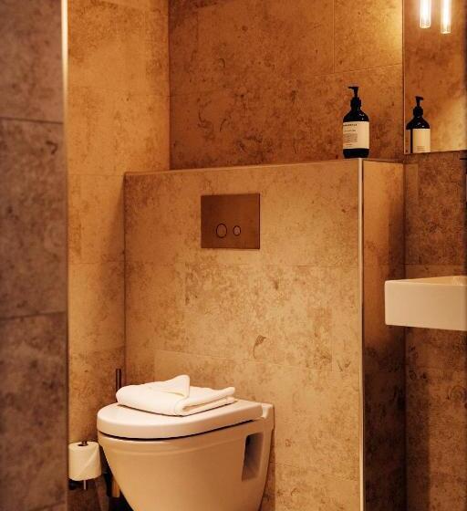 בית מלון כפרי Vyn