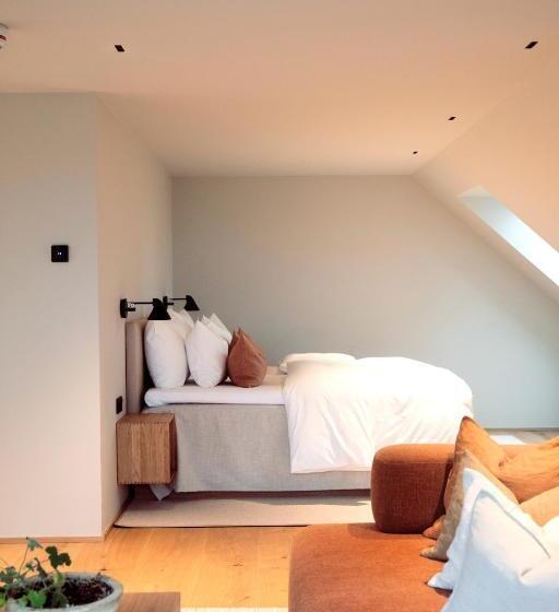 בית מלון כפרי Vyn