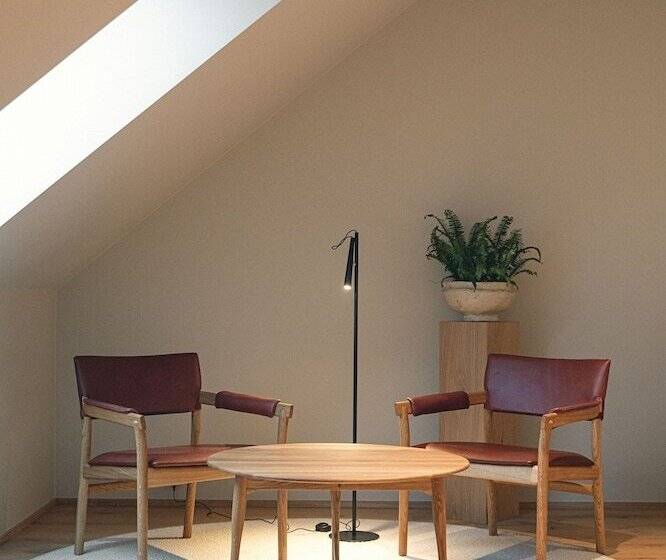 בית מלון כפרי Vyn