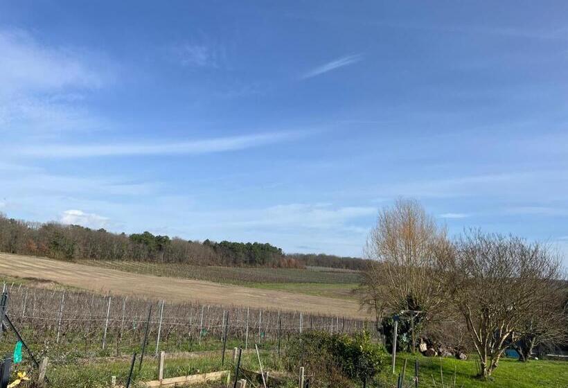 פנסיון Aux Vignes D’arnaud