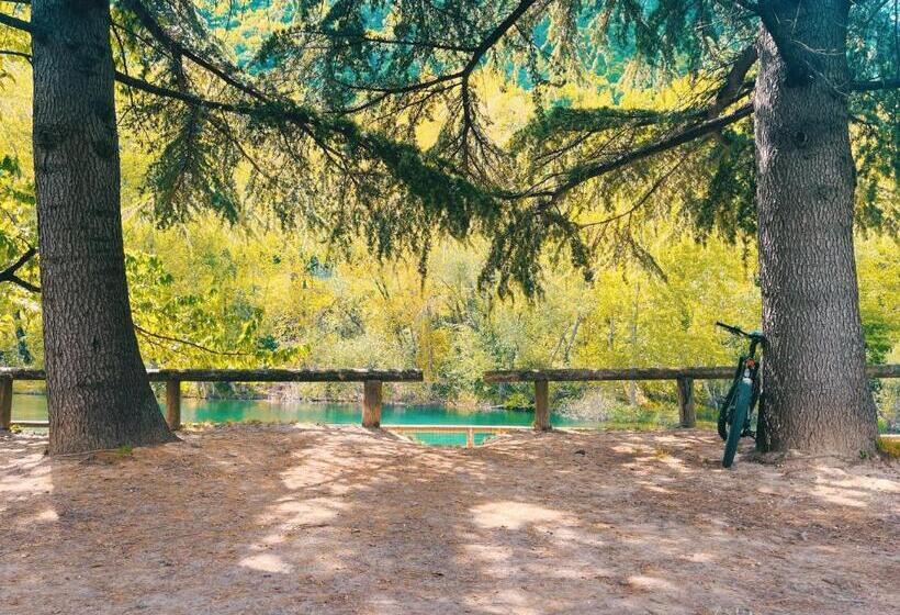 膳宿费 Green House