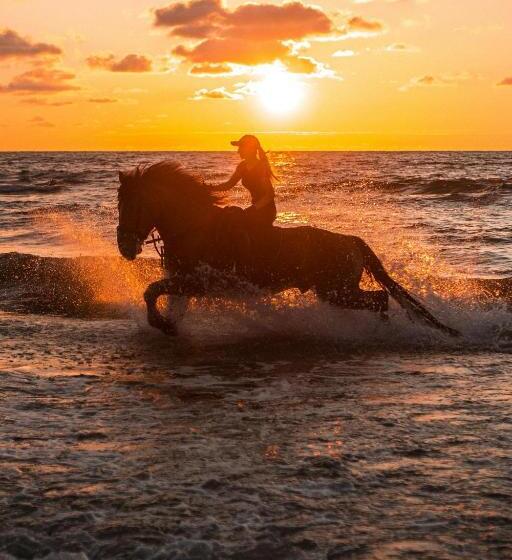 Пансион Jo Guest House.