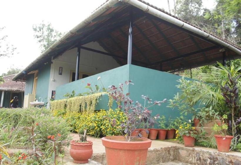 פנסיון Madhuvana Guest House