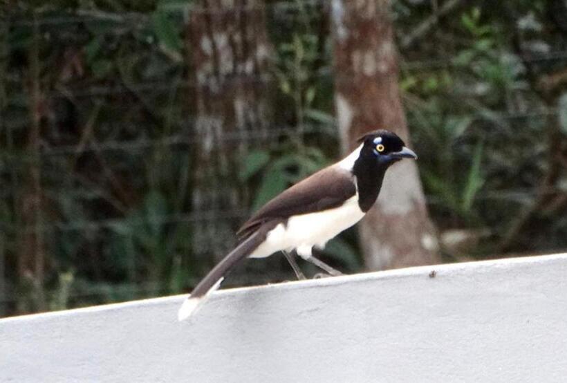 펜션 Miko Loko Hospedaria