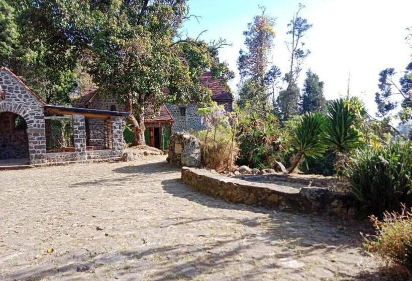 پانسیون The Afton Bungalow