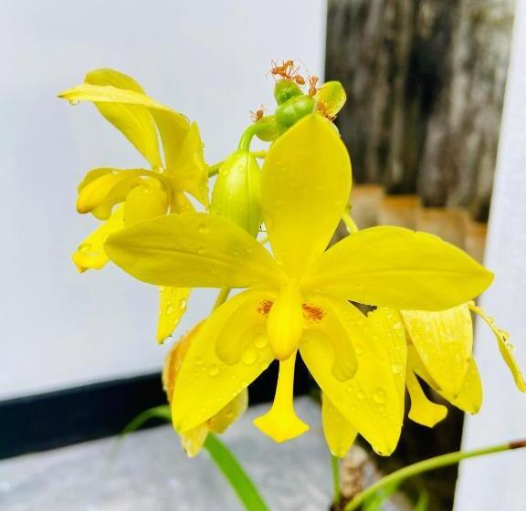 펜션 Uma Nature Villa