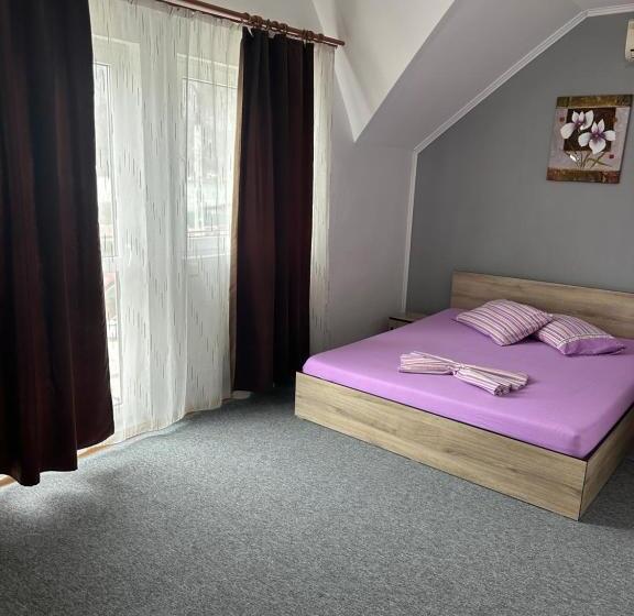 ペンション Vila Rose Dubova