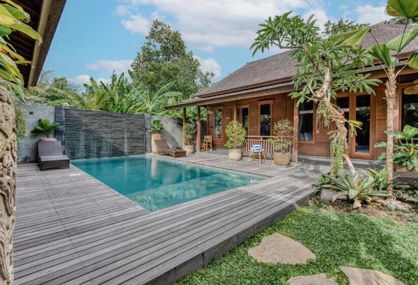 פנסיון Villa Walet