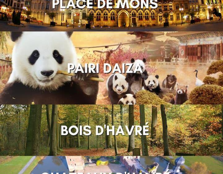 פנסיון Zen Mons Obscure Elegant Room Bois D Havré