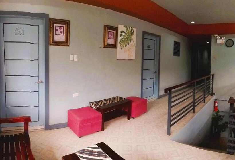 הוסטל Felli`s Guest House