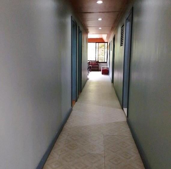 הוסטל Felli`s Guest House