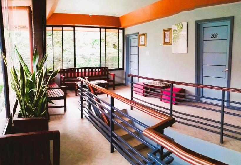 הוסטל Felli`s Guest House