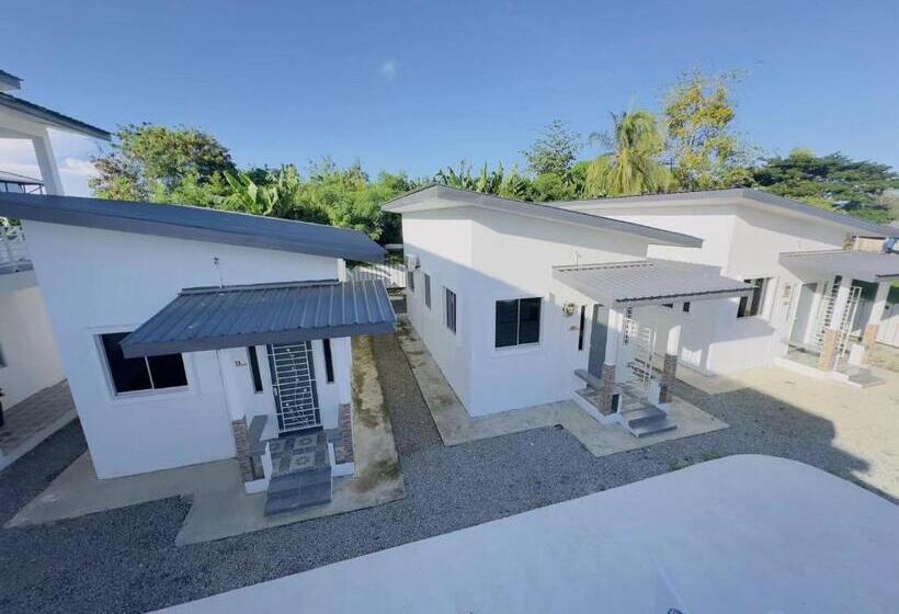 مبيت وإفطار Amberhouse 2