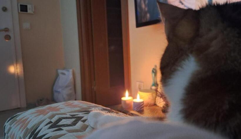 住宿加早餐  Clarion Hotel Yan