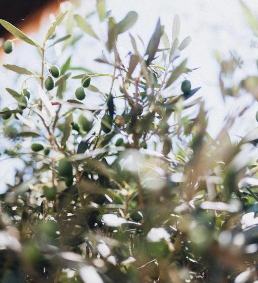 مبيت وإفطار In2 Bnb