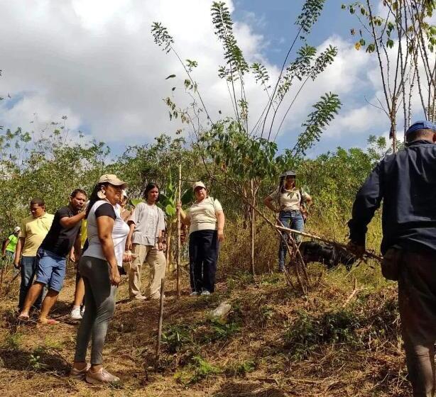 ベッドアンドブレックファースト La Natividad