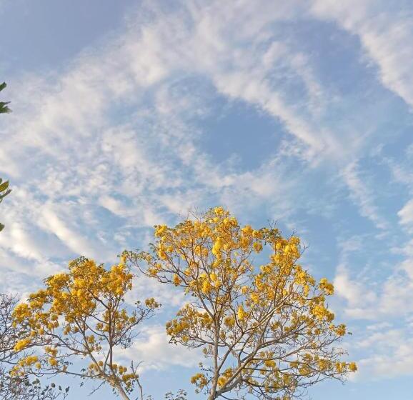 Bed and Breakfast La Natividad